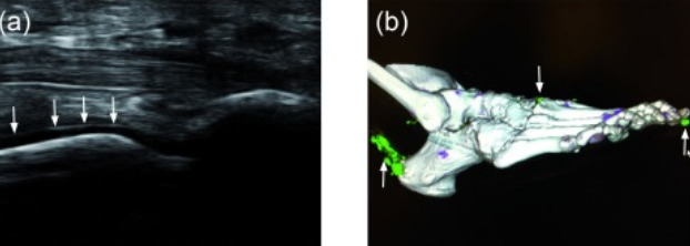 Institut Cheville & Pied Image 7